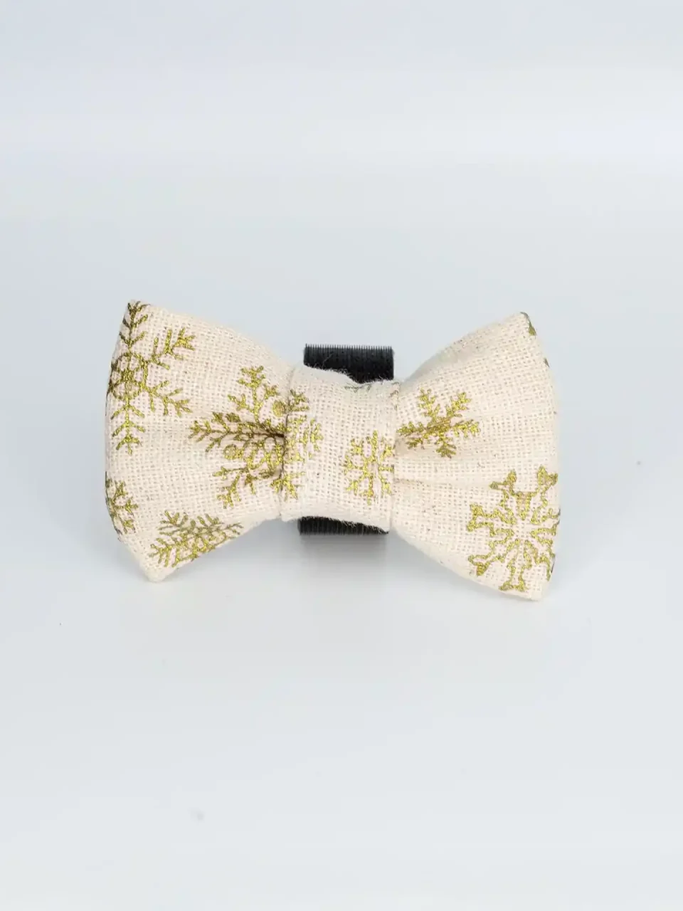 Nœud papillon 5