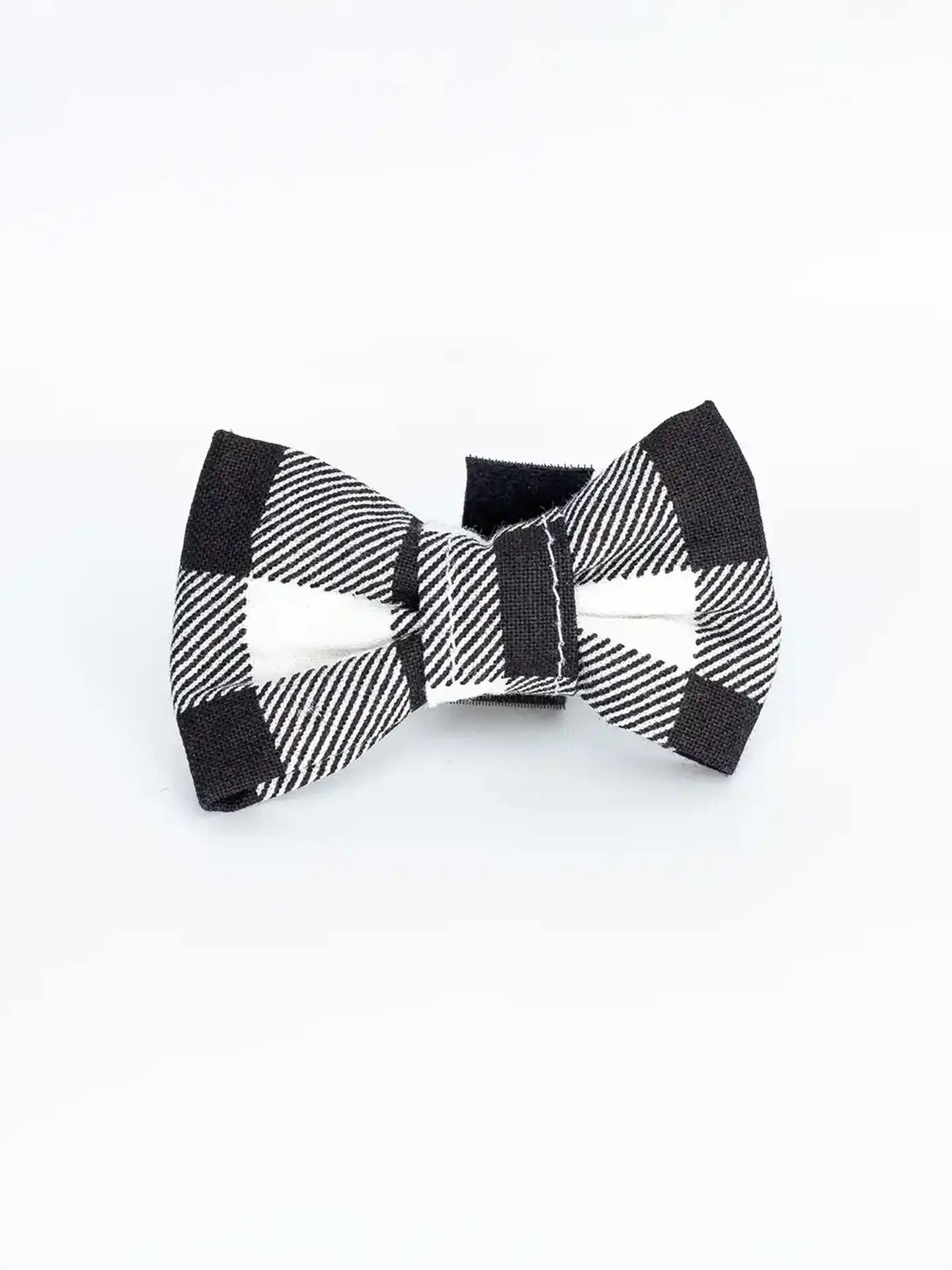 Nœud papillon 4